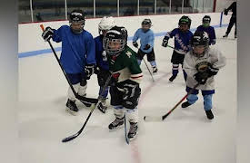 Job Jams: Hockey Coach