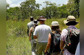 The Great Tours: African Safari: Walking Safaris