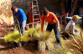 I Hate My Yard: Episode 9