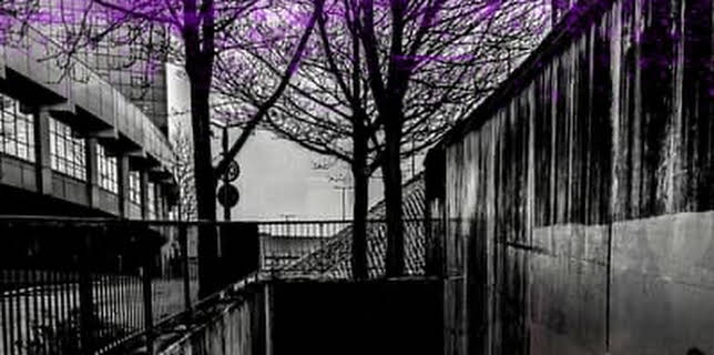 Dirt Road Trappn (2018)