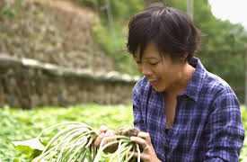 The Tale of Kitto Katto: Wasabi & Strawberry Cheesecake