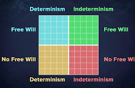 The Many Hidden Worlds of Quantum Mechanics: Free Will, Determinism, and Many-Worlds