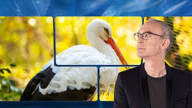 23:35: quer | Tagesschau 24 | 5/29 2026