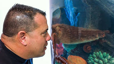 20:00: Tanked (S3 E16) (S3) | Animal Planet | 9/20 2026