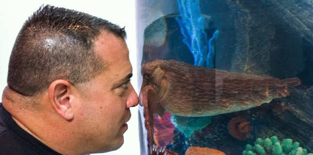 20:00: Tanked (S3 E16) (S3) | Animal Planet | 3/15 2026