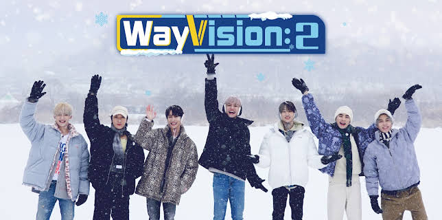 WayVision 2