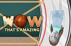 Wow That's Amazing: A Hologram Projector