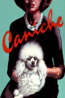 23:20: Caniche | Betevé | 7/20 2026
