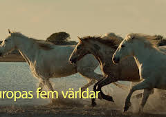 Europas fem världar