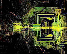 Schätze aus der Unterwelt