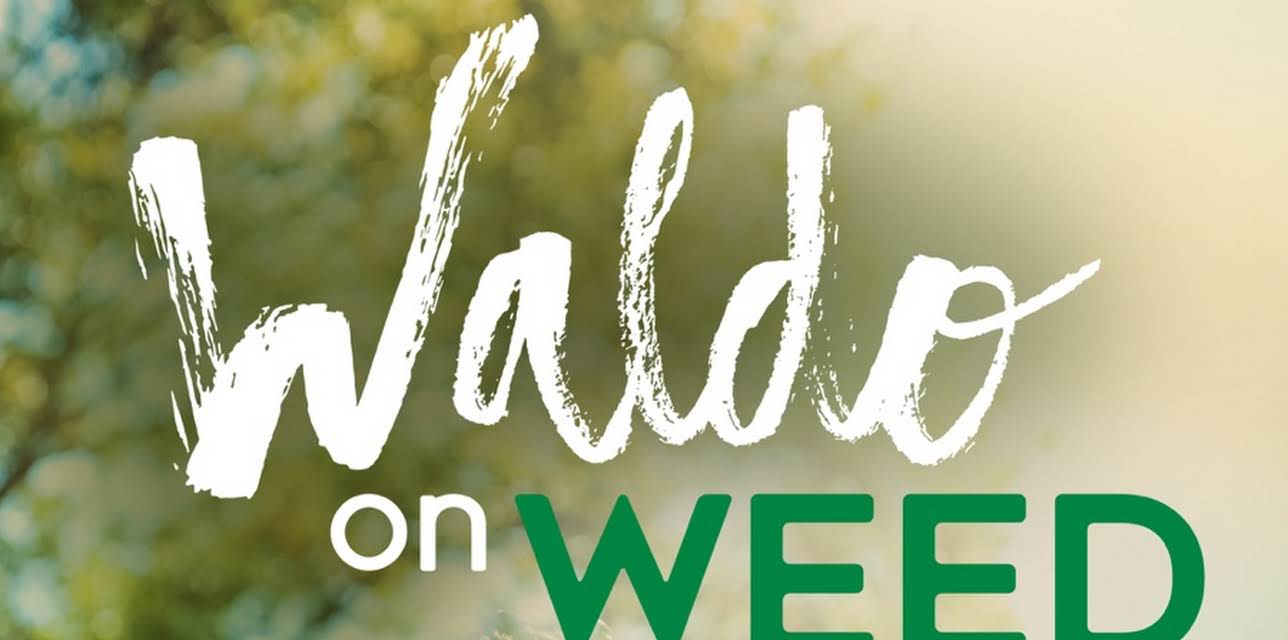 Waldo on Weed (2020)