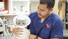 Dr. Jeff: Rocky Mountain Vet (S1 E7)