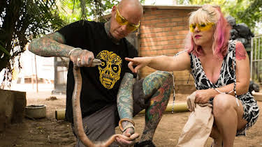 12:00 AM: Snakes In The City | Nat Geo Wild | 1/5 2026