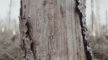 01:45: Les Rites de passage | MDR Fernsehen | 4/18 2026