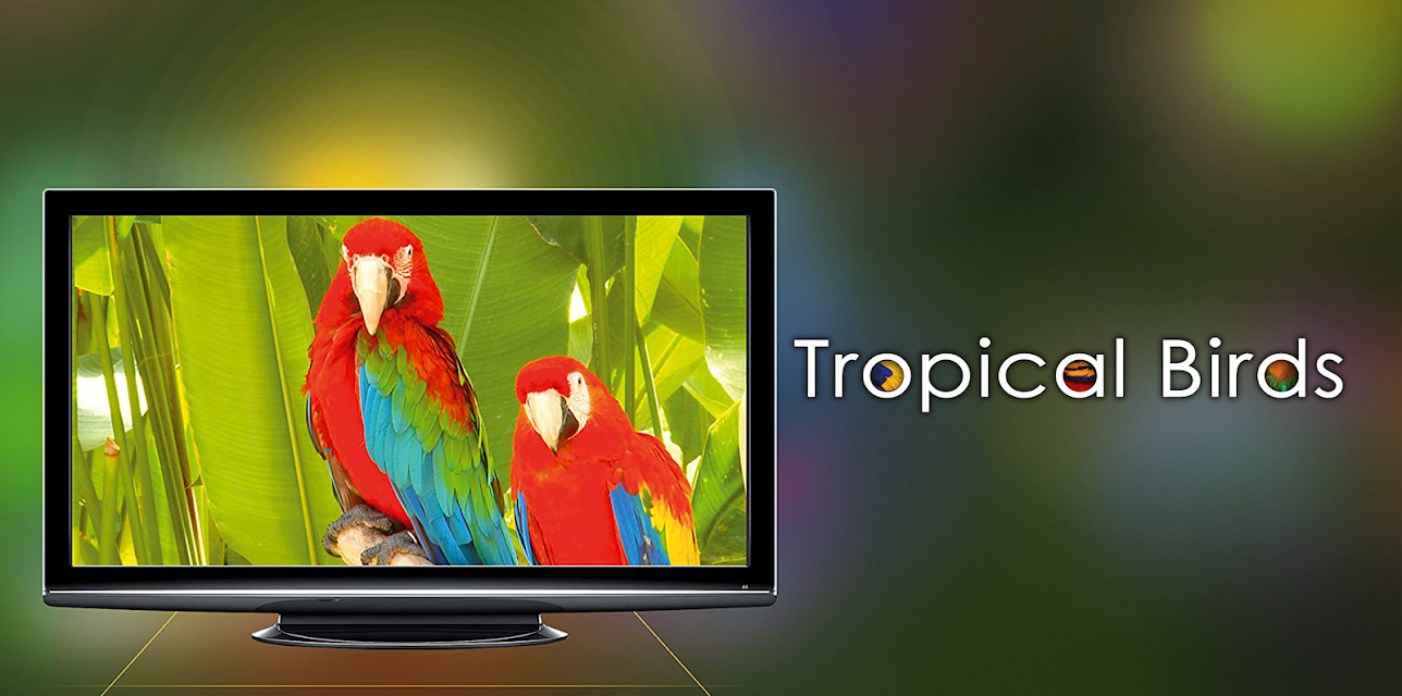 Tropical Birds with Music (2016)