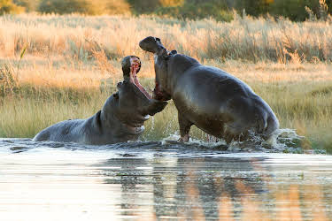 16:15: Zauber der Jahreszeiten - Okavango | 3SAT | 4/28 2026