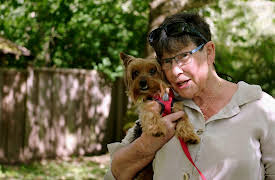 Dog Dudes: The Sheltered Life