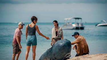 00:00: Retter der Meere: Tödliche Strandung | MDR Fernsehen | 5/2 2026