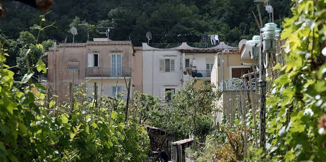 13:10: Stadt Land Kunst | Arte | 3/2 2026