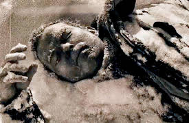 Expedition Files, Season 1: Tragic Endings