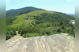 Expeditions With Patrick McMillan: Grassy Bald