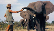 Ein Leben unter Elefanten