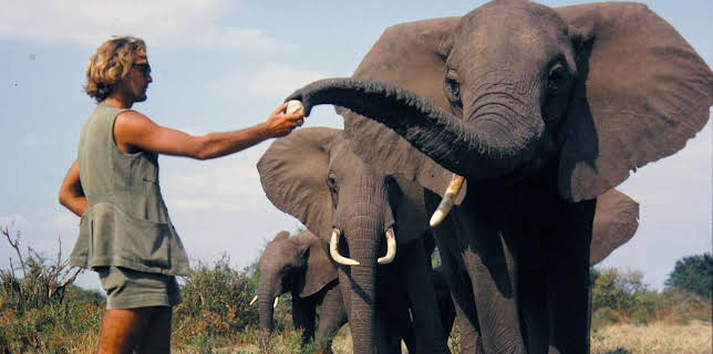 21:45: Ein Leben unter Elefanten | Arte | 12/27 2025