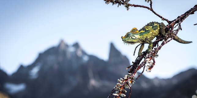 15:30: Eisige Welten II (3/6) | 3SAT | 11/27 2025