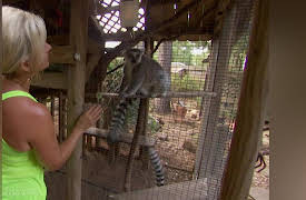 Dog's Best Friend: Episode 9