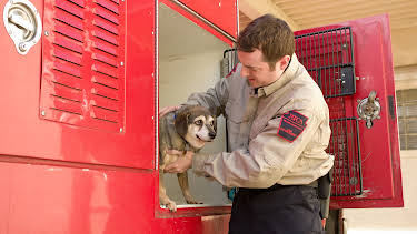 04:00: Animal Cops Philadelphia (S12 E9) (S12) | Animal Planet | 11/8 2025