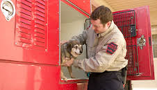 Animal Cops Philadelphia (S12 E9)