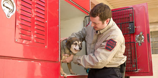 03:00: Animal Cops Philadelphia (S12 E9) (S12) | Animal Planet | 11/8 2025