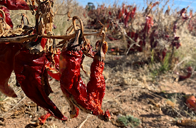 Made In A Day: Hetsås