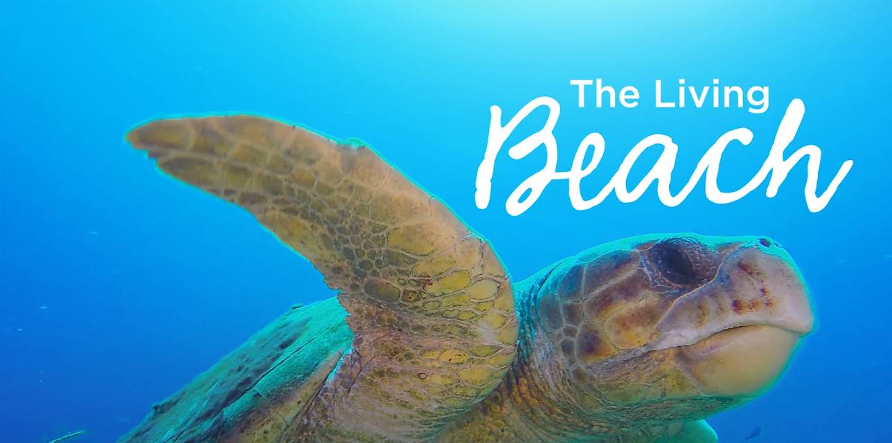 The Living Beach