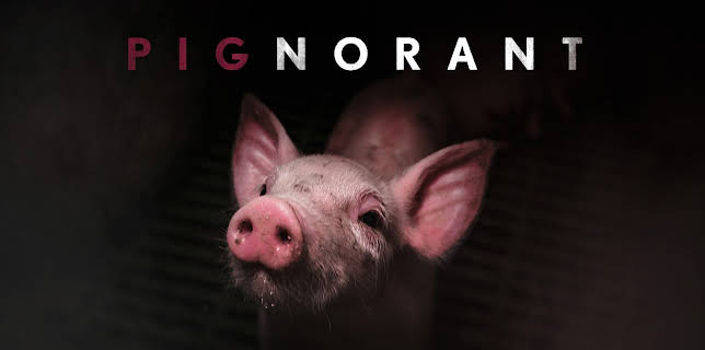 Pignorant (2024)