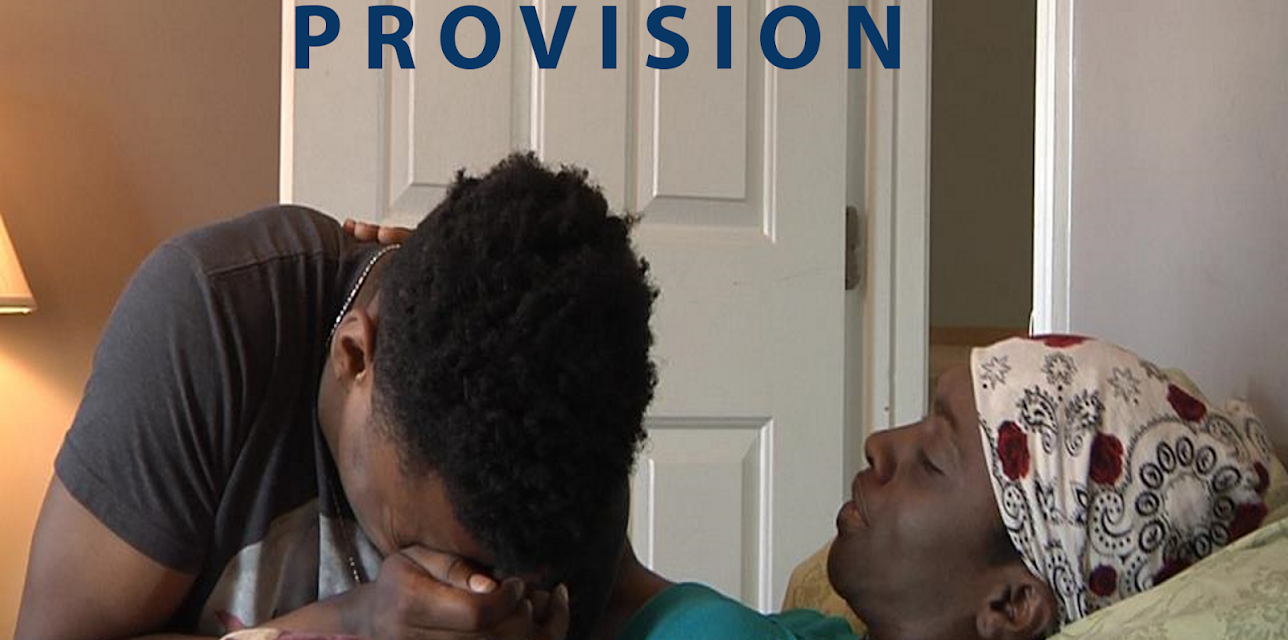 Provision (2017)