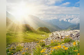 The Nature of Matter: Understanding the Physical World: The Nature of Light and Matter