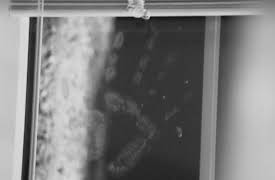 Help! My House Is Haunted, Season 4: Law and Disorder