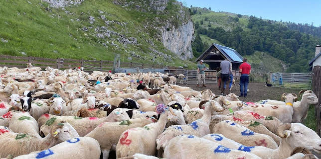 19:40: 360° Reportage | Arte | 1/24 2026