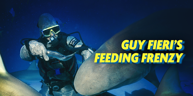 Guy Fieri's Feeding Frenzy (2018)