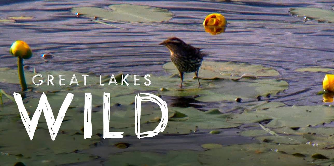 Great Lakes Wild