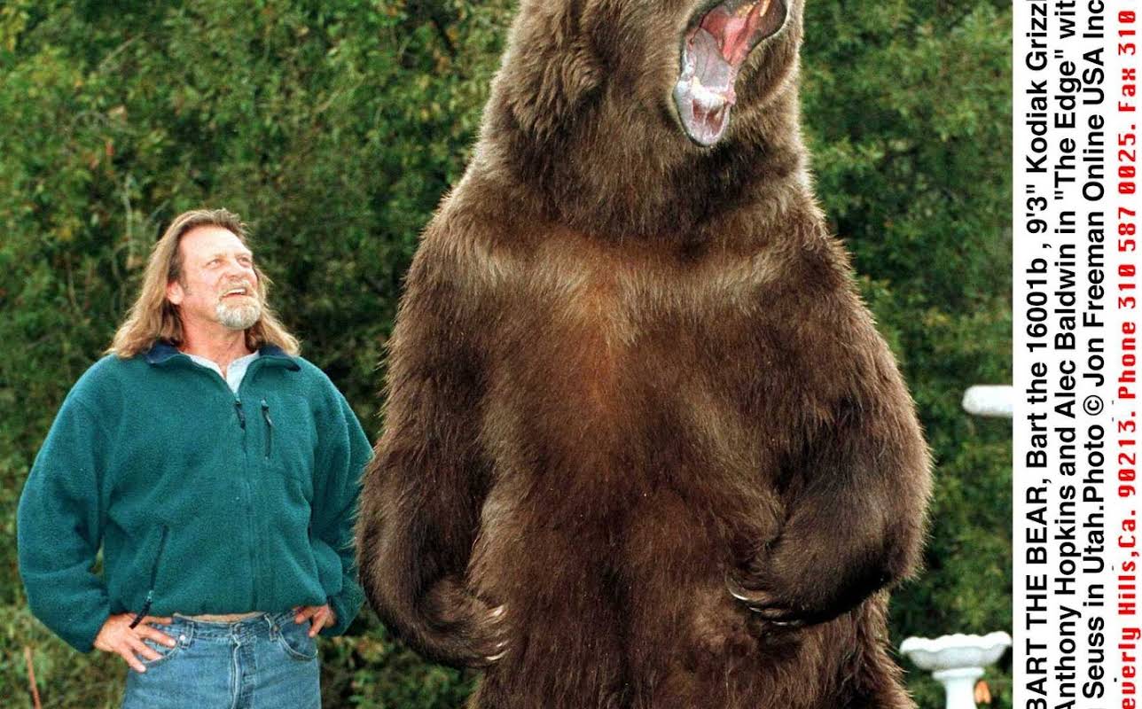 Bart the Bear