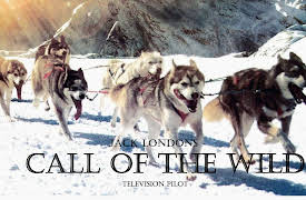 Call of The Wild: Episode 5 Foxfire