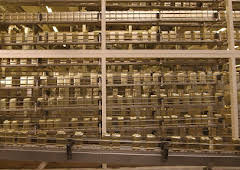 Tchibo - Vom Kaffeeversand zum Handelsriesen