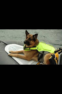 10:05: Hudson y Rex (T4): Ep.3 Rex marca el lugar | AXN | 3/28 2026