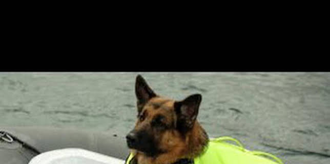 08:38: Hudson y Rex (T4): Ep.3 Rex marca el lugar | AXN | 12/13 2025