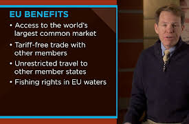 Democracy and Its Alternatives: Is the European Union a Success or Failure?