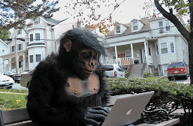 SpaceRip Originals: The Infinite Monkey Theorem