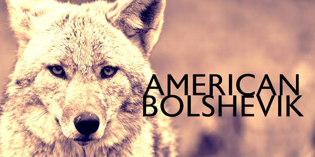 American Bolshevik (2023)