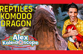 Alex & The Kaleidoscope: REPTILES - KOMODO DRAGON